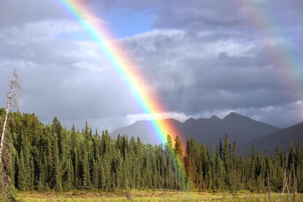 brigachtal rainbow 436183 1920 (comp)
